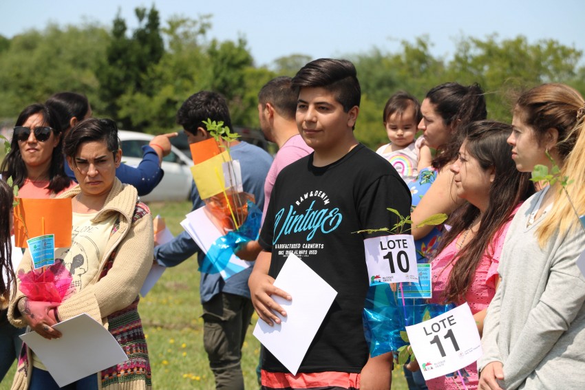 La entrega de lotes en fotos