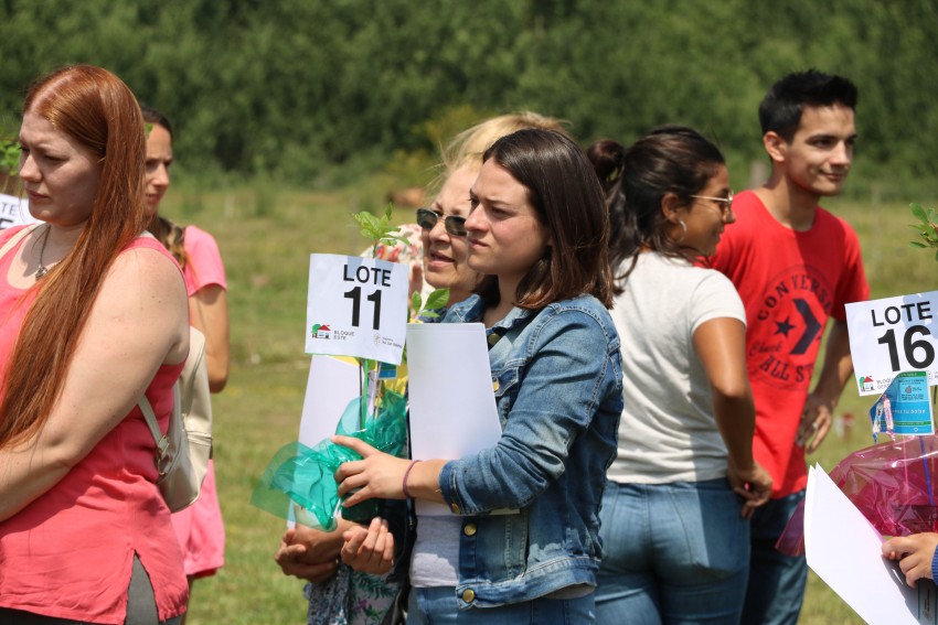 La entrega de lotes en fotos