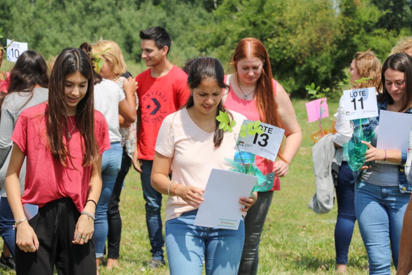 La entrega de lotes en fotos