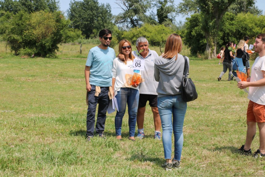 La entrega de lotes en fotos