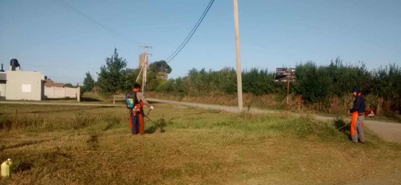 Realizan tareas de alteo y abovedado sobre la calle Guatemala