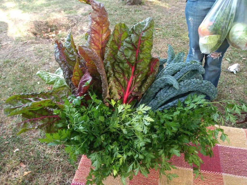 Productos madariaguenses a la venta en el Mercado de la Estación y el