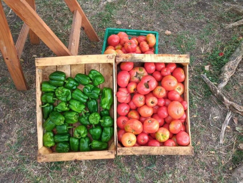 Productos madariaguenses a la venta en el Mercado de la Estación y el
