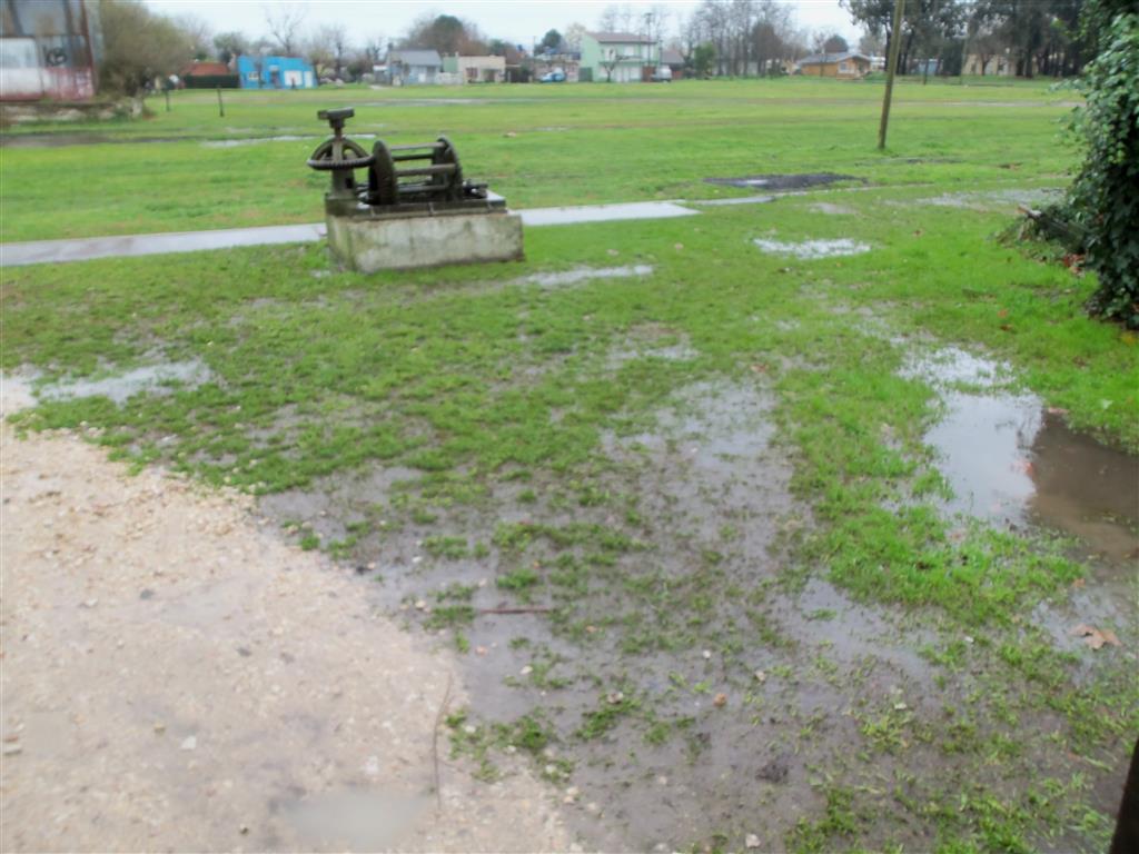 Se suspendi el mercado de la estacin