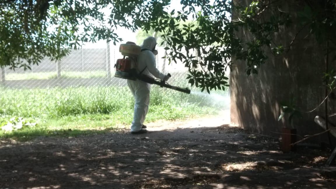 Continan con la fumigacin preventiva en Jardines y Escuelas