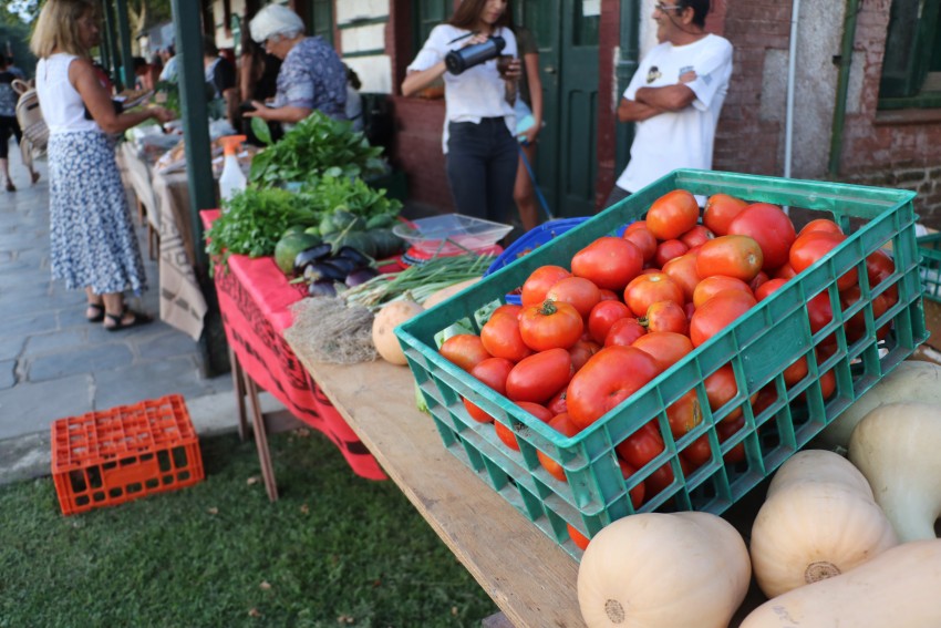 Artesanos y productores dieron cierre a la primera temporada de