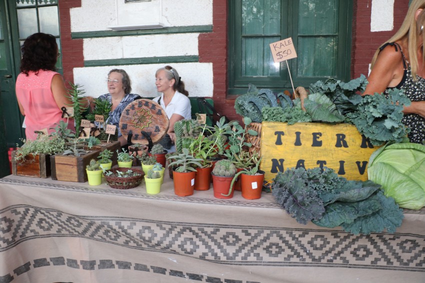 Artesanos y productores dieron cierre a la primera temporada de