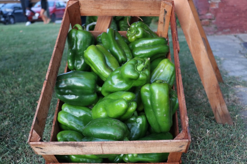 Artesanos y productores dieron cierre a la primera temporada de