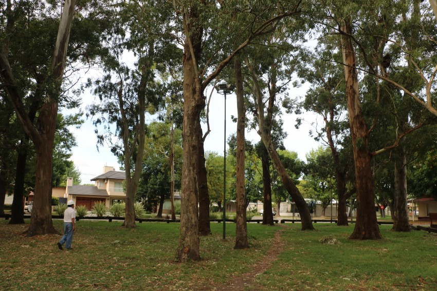 Realizaron el mantenimiento integral de luminarias en el Parque Anchor