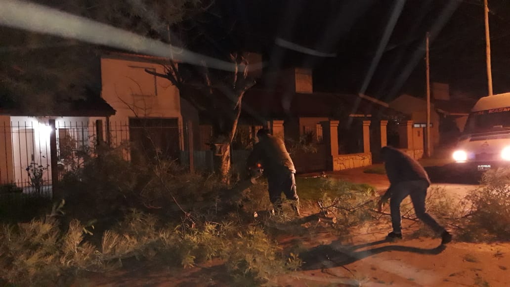 Por los fuertes vientos hubo cada de rboles y ramas