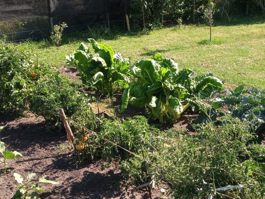 Continúa la entrega de semillas para la huerta de otoño-invierno