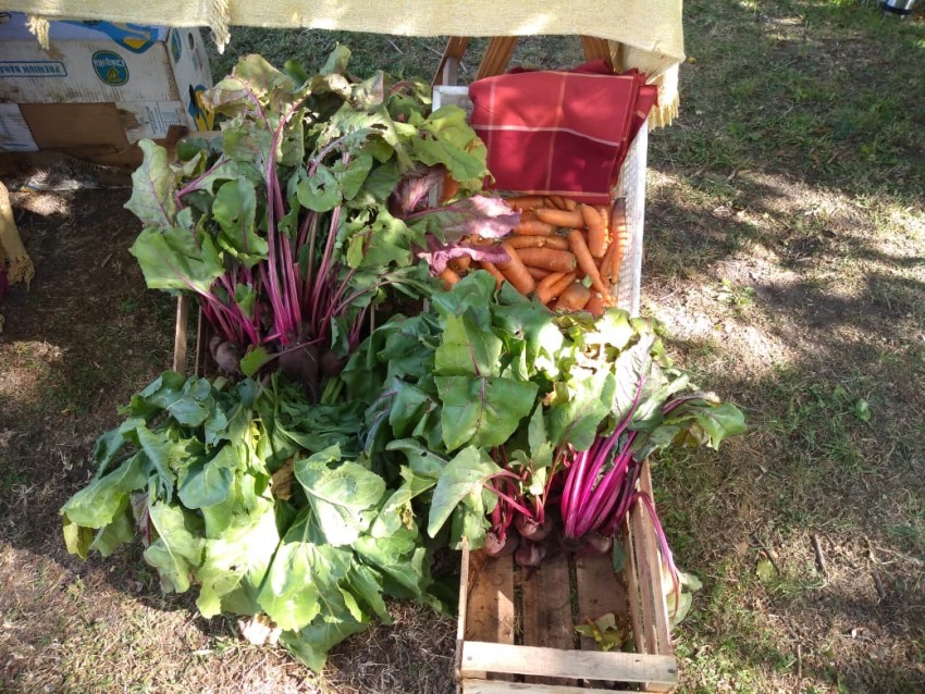 Continúa la entrega de semillas para la huerta de otoño-invierno