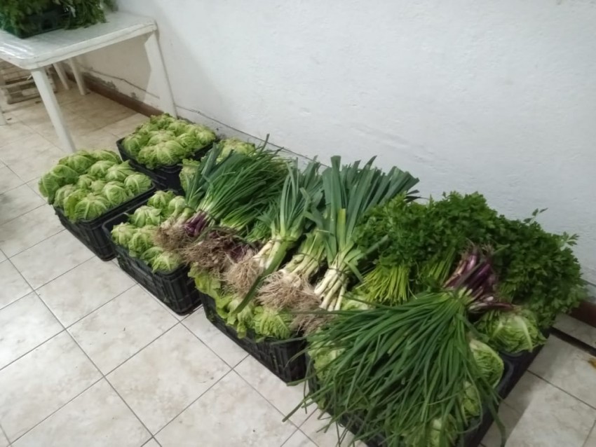 Huerteros locales vendieron su cosecha a Desarrollo Social