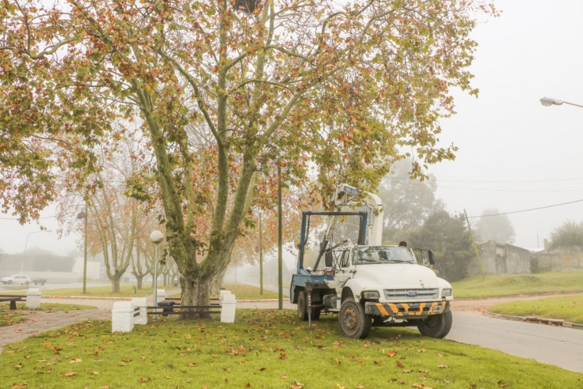 Iniciaron las obras de restauración del sistema de alumbrado público