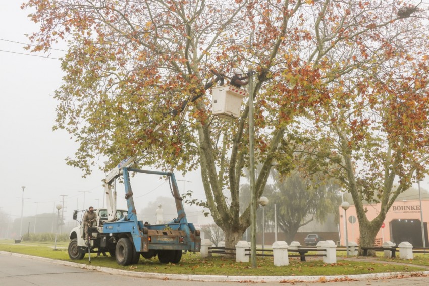 Iniciaron las obras de restauración del sistema de alumbrado público