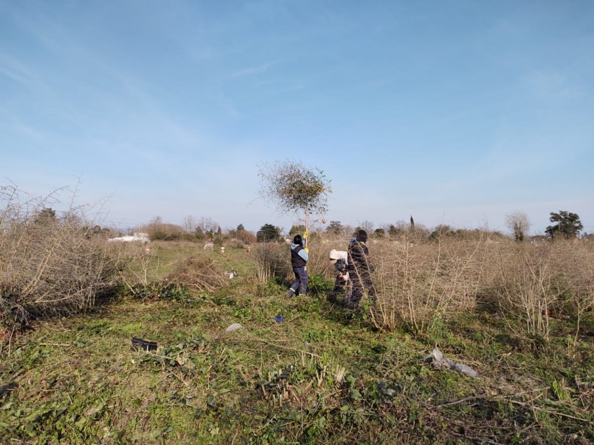 Intensificaron la limpieza de terrenos