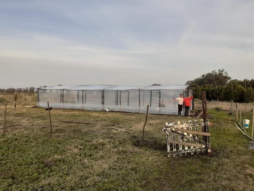 La Granja de contencin municipal ya cuenta con invernadero propio