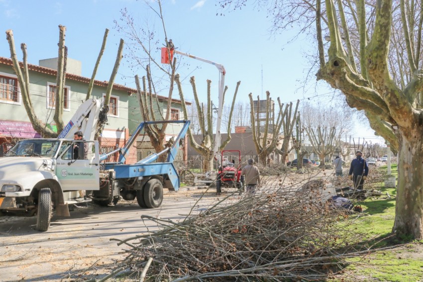 Realizan podas preventivas y hay restricciones al trnsito