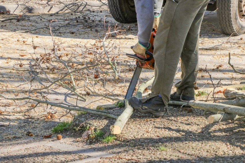 Realizan podas preventivas y hay restricciones al trnsito