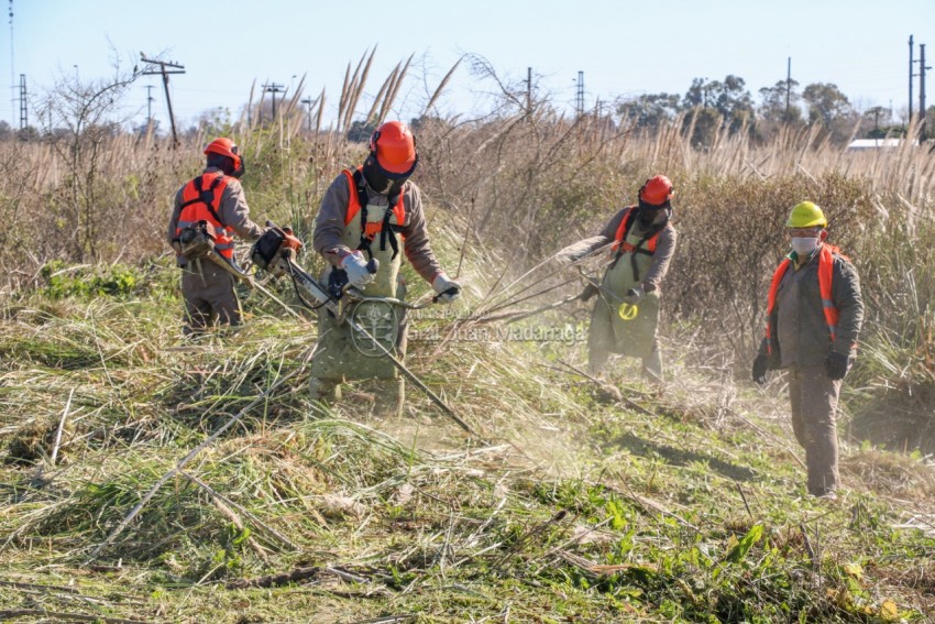 Avanzan los trabajos de mantenimiento en las vas del ferrocarril