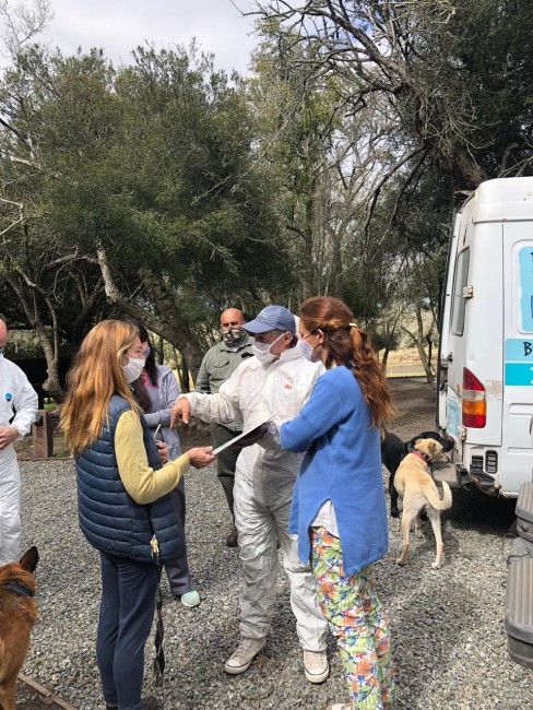 Fumigaron una vivienda en Laguna 