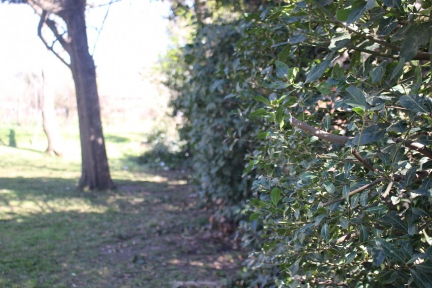 Defensa Civil trabaj en la puesta en valor de la plazoleta Eber Jorge