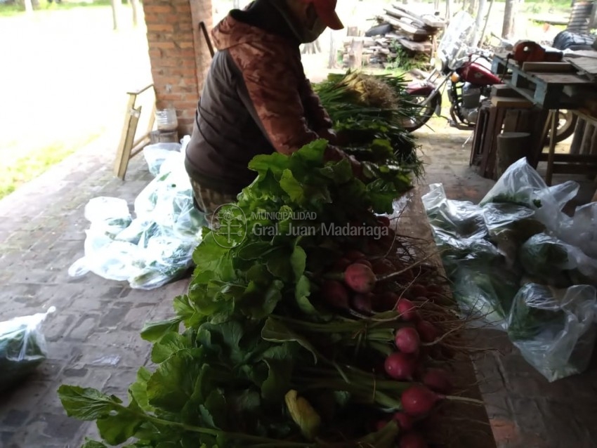Huerteros locales vendieron 100 bolsas de verduras a Desarrollo Social