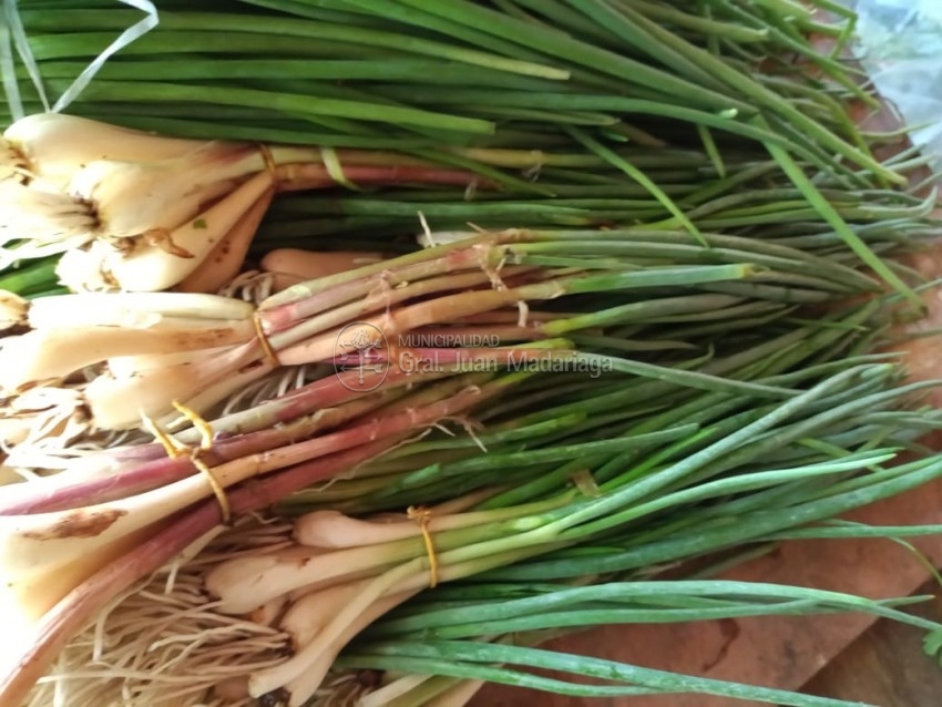 Productores locales vendieron su cosecha al municipio