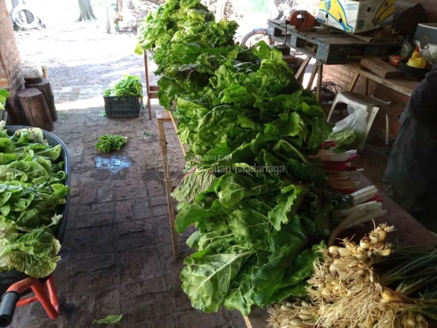 Productores locales vendieron su cosecha al municipio