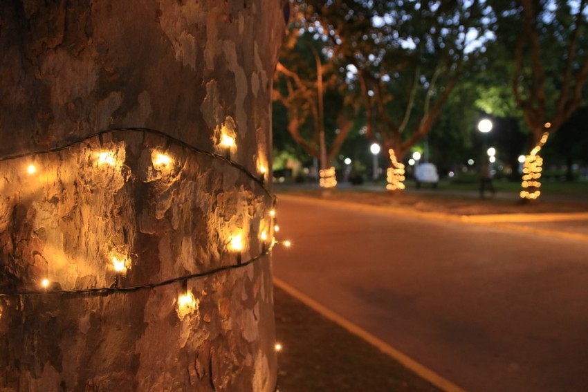 Se encendieron las luces navideas