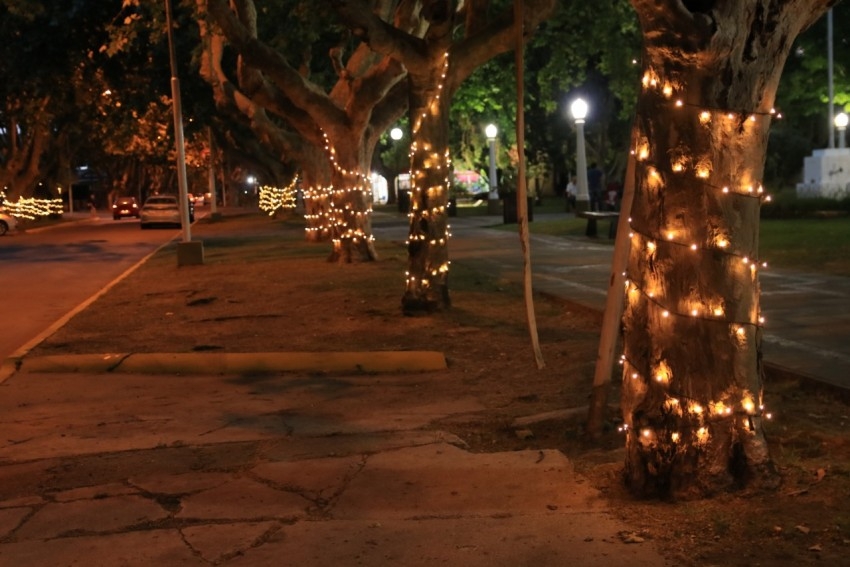 Se encendieron las luces navideas