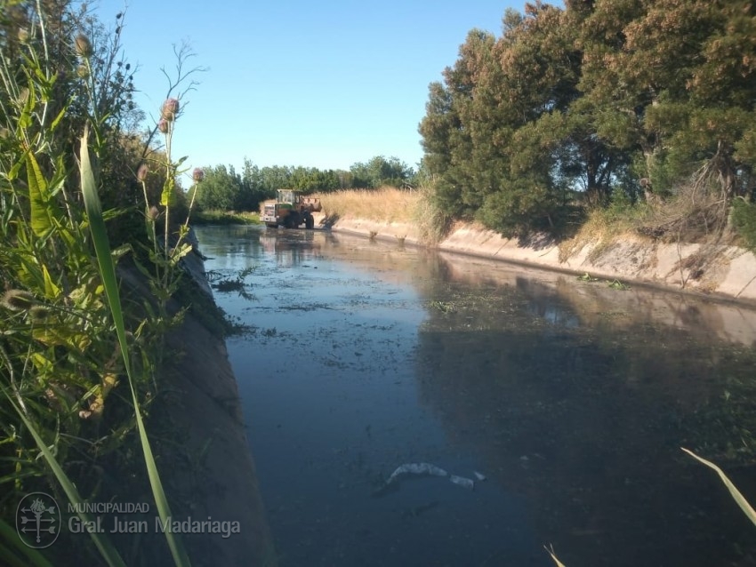 Iniciaron las tareas de limpieza de los canales a cielo abierto