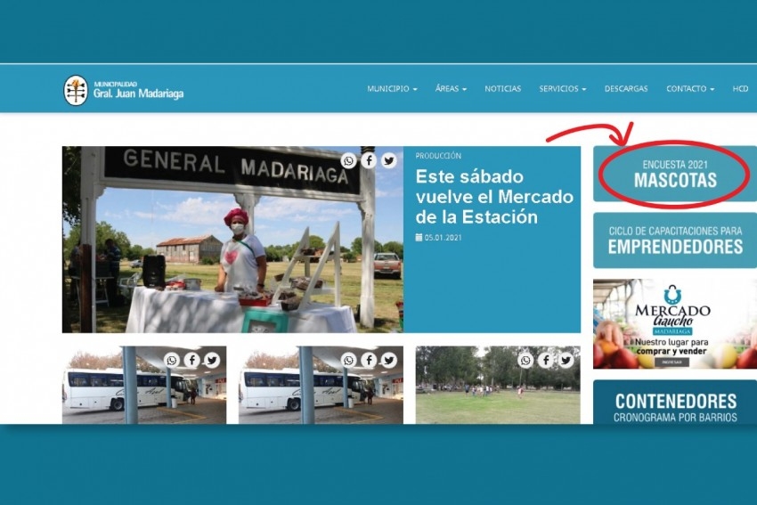 Desde hoy se puede completar la encuesta de mascotas