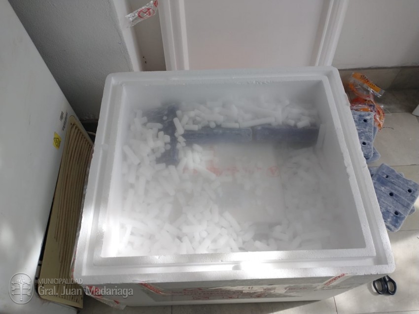 Llegaron las primeras vacunas Covid -19 a Madariaga