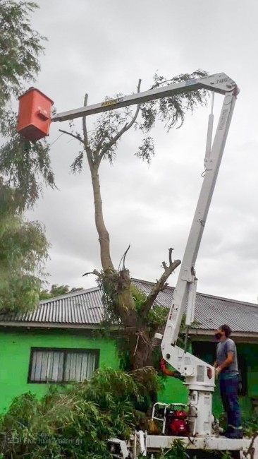 Realizaron podas preventivas a solicitud de vecinos