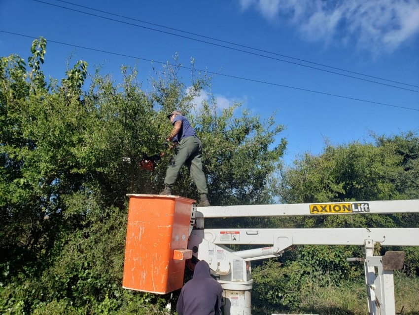 Importante trabajo de poda y desmonte en la zona de Juancho y Macedo