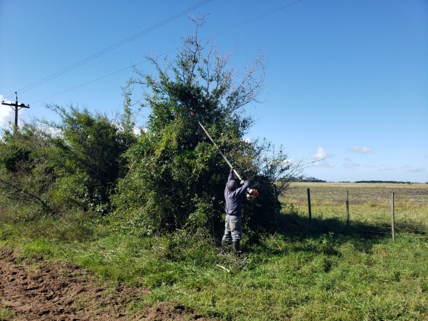 Importante trabajo de poda y desmonte en la zona de Juancho y Macedo