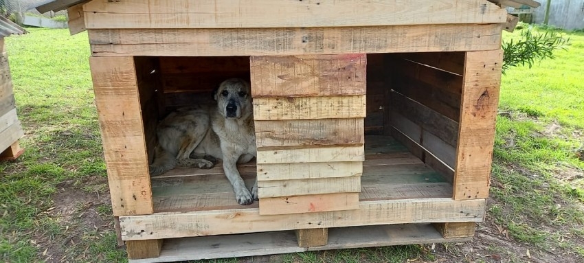 Operarios de FAE construyeron y donaron cuchas al refugio municipal