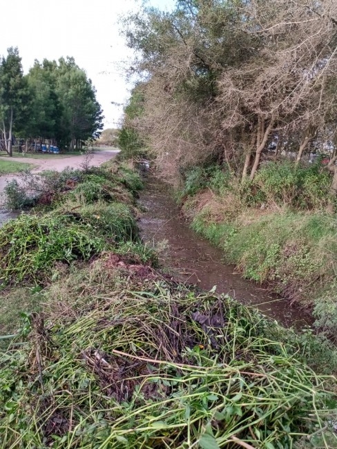 Colocaron polvo de piedra en distintas calles del barrio Quintanilla