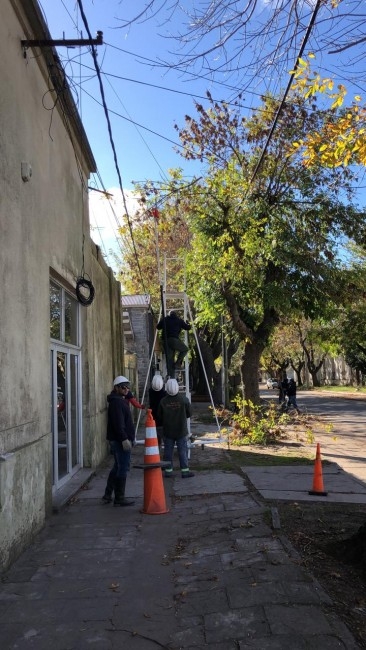 Iniciaron con los trabajos de poda preventiva de media tensin