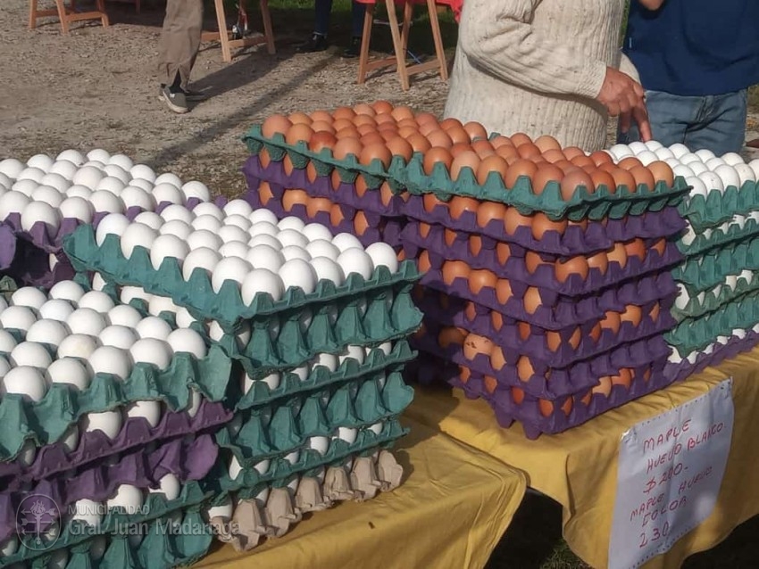 El Mercado de la Estacin se realizar este jueves en el Parque Anchor