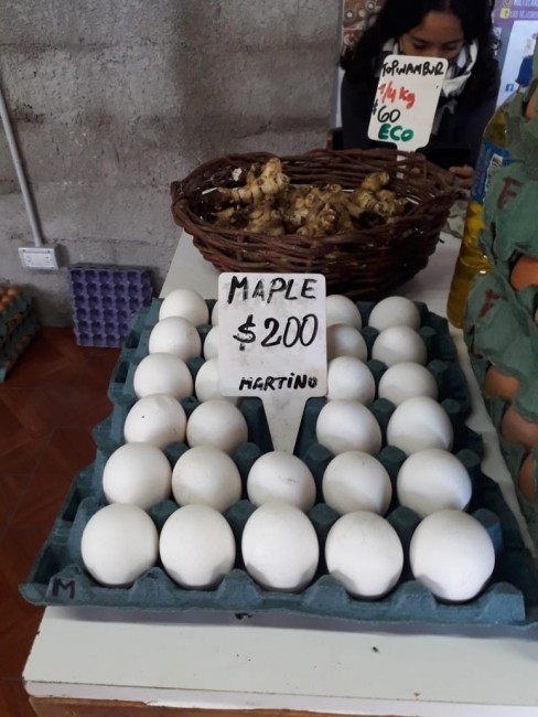 Los kiwis de Macedo llegaron al Mercado Concentrador