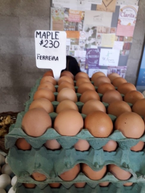 Los kiwis de Macedo llegaron al Mercado Concentrador
