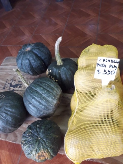 Los kiwis de Macedo llegaron al Mercado Concentrador