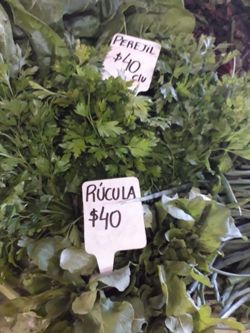 Los kiwis de Macedo llegaron al Mercado Concentrador