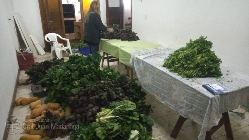 El municipio compr una importante cantidad de verduras a productores 
