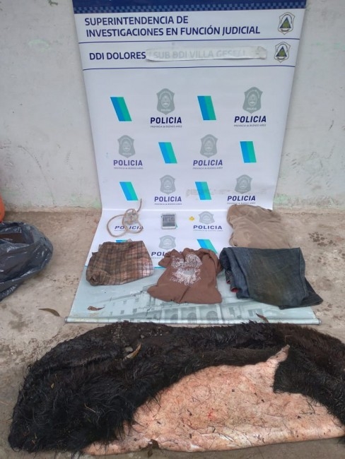 Allanamientos positivos en Gesell con diez aprehendidos por el abigeat