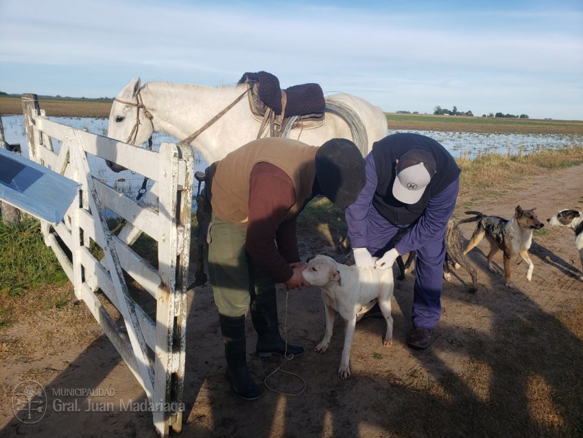 Realizaron una campaa de 