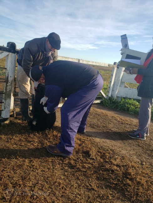 Realizaron una campaa de 