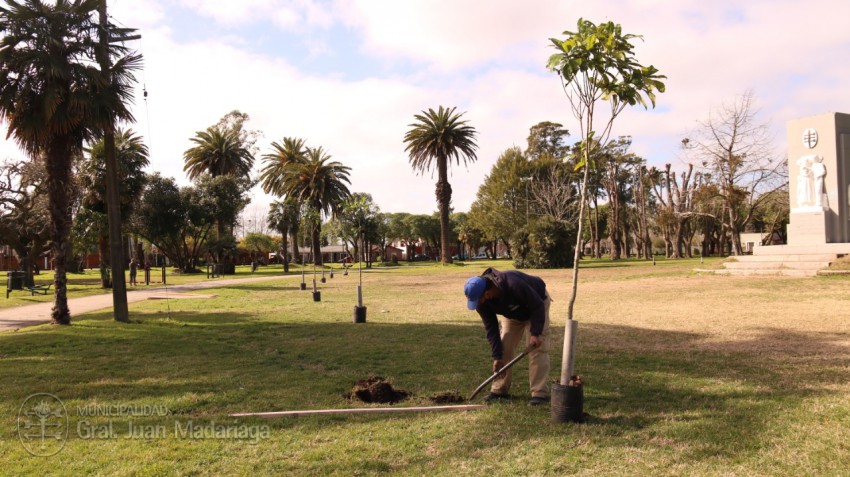 Plantaron 100 especies en el Parque Anchorena